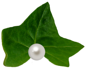 pearl_leaf